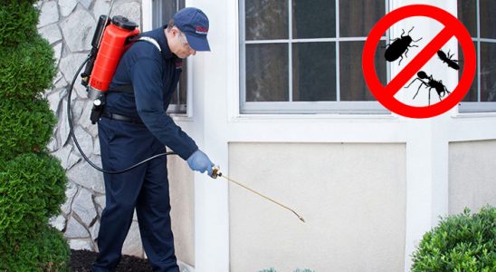 Güzelyurt Böcek ve Haşere İlaçlama böcek ilaçlama ve haşere kontrolü — ilaclama-tr.com
